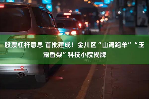 股票杠杆意思 首批建成！金川区“山湾跑羊”“玉露香梨”科技小院揭牌