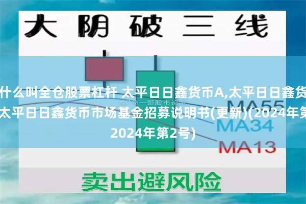 什么叫全仓股票杠杆 太平日日鑫货币A,太平日日鑫货币B: 太平日日鑫货币市场基金招募说明书(更新)(2024年第2号)