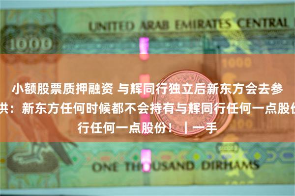 小额股票质押融资 与辉同行独立后新东方会去参股？ 俞敏洪：新东方任何时候都不会持有与辉同行任何一点股份！｜一手