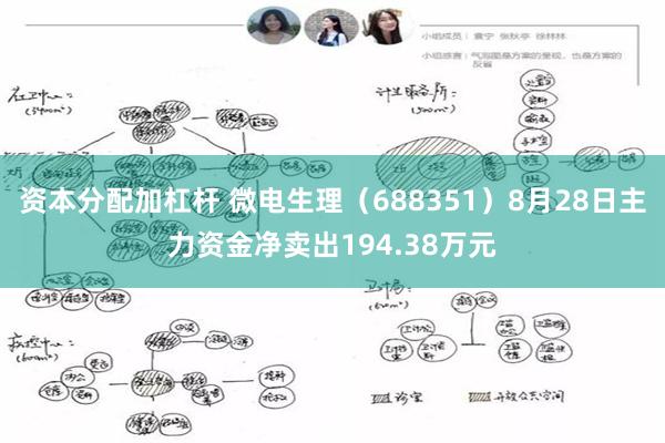 资本分配加杠杆 微电生理（688351）8月28日主力资金净卖出194.38万元