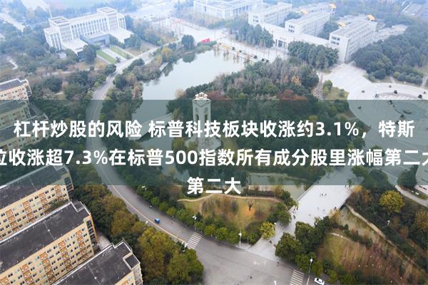 杠杆炒股的风险 标普科技板块收涨约3.1%，特斯拉收涨超7.3%在标普500指数所有成分股里涨幅第二大