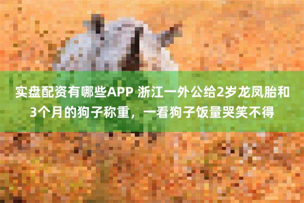 实盘配资有哪些APP 浙江一外公给2岁龙凤胎和3个月的狗子称重，一看狗子饭量哭笑不得