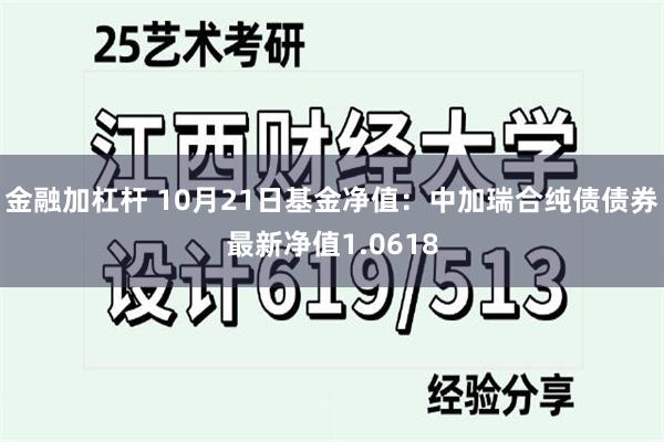 金融加杠杆 10月21日基金净值：中加瑞合纯债债券最新净值1.0618