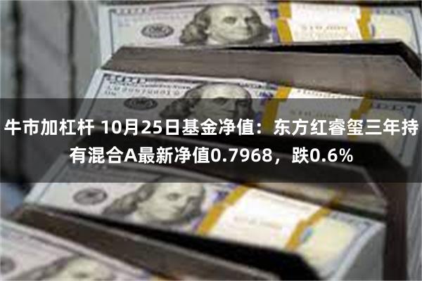 牛市加杠杆 10月25日基金净值：东方红睿玺三年持有混合A最新净值0.7968，跌0.6%