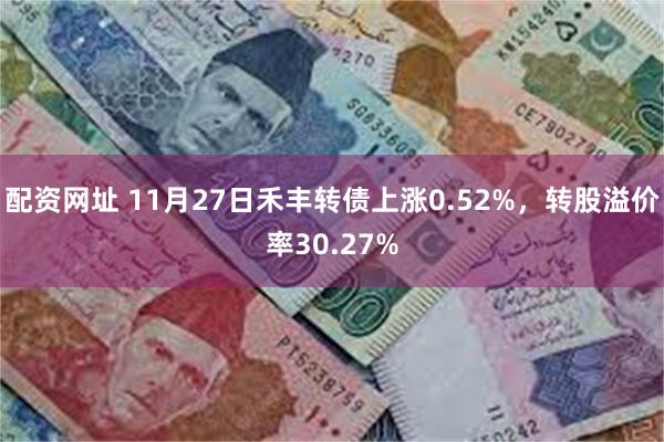 配资网址 11月27日禾丰转债上涨0.52%，转股溢价率30.27%