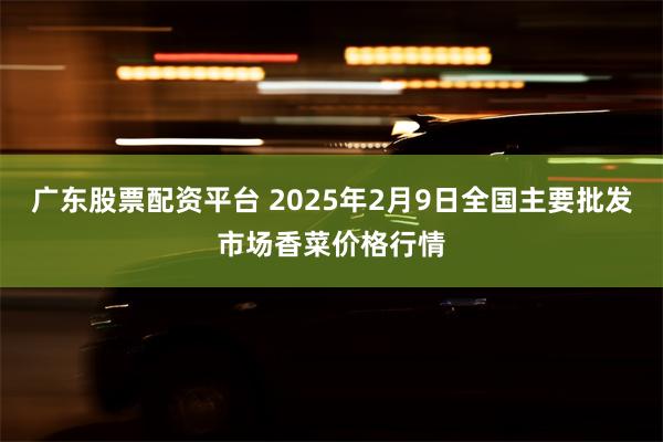 广东股票配资平台 2025年2月9日全国主要批发市场香菜价格行情