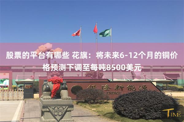 股票的平台有哪些 花旗：将未来6-12个月的铜价格预测下调至每吨8500美元