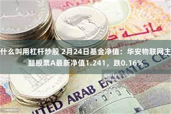 什么叫用杠杆炒股 2月24日基金净值：华安物联网主题股票A最新净值1.241，跌0.16%